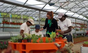 tudo à distância de um clique